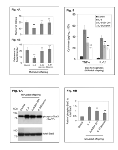Luteolin and diosmin/diosmetin as novel stat3 inhibitors for treating autism