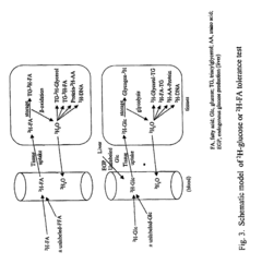 Methods for determining the metabolism of sugars and fats in an individual