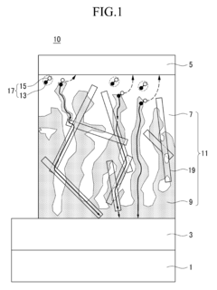 Organic solar cell and method of fabricating the same