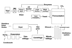 Process of producing a fermentation product