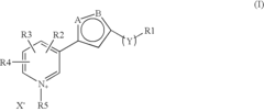 Novel compounds for the management of aging-related and diabetic vascular complications, process for their preparation, therapeutic and cosmetic uses thereof