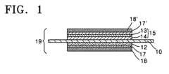 Catalyst coated membrane, membrane electrode assembly containing the same, method of producing the same, and fuel cell including the membrane electrode assembly