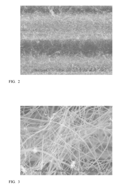 Continuous process for the production of carbon nanofiber reinforced continuous fiber preforms and composites made therefrom