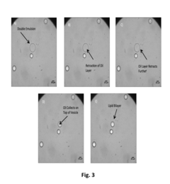On demand vesicle formation from vesicle precursors suitable for long-term storage