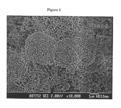 Tailored zeolite bound zeolite catalysts and its use for hydrocarbon conversion