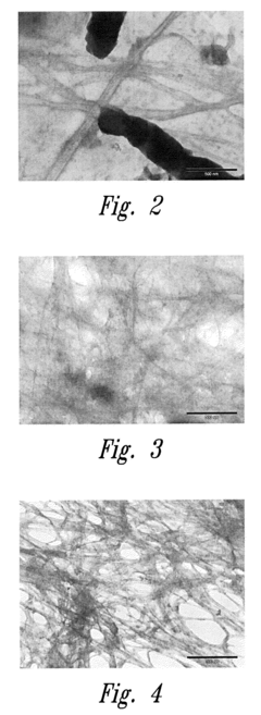 Method of in situ bioproduction and composition of bacterial cellulose nanocomposites
