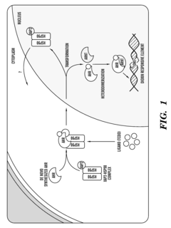 Methods for perfusion and plating of primary hepatocytes and a medium therefore