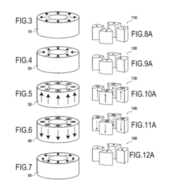 Magnetised structure inducing a homogeneous field, in the centre thereof, with a pre-determined orientation
