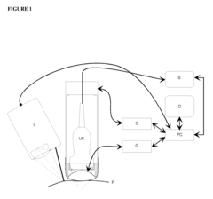 Systems and methods for synchronizing ultrasound treatment of thryoid and parathyroid with movements of patients