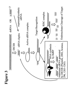 RNA interference mediated inhibition of proprotein convertase subtilisin Kexin 9 (PCSK9) gene expression using short interfering nucleic acid (siNA)